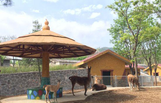 石家庄动物园景观项目工程改造升级顺利完成